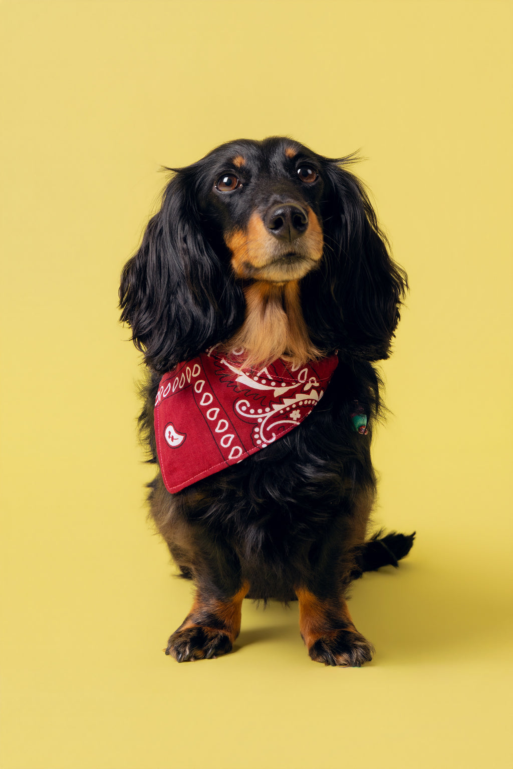 Bandana Idéfix Rose à carreaux