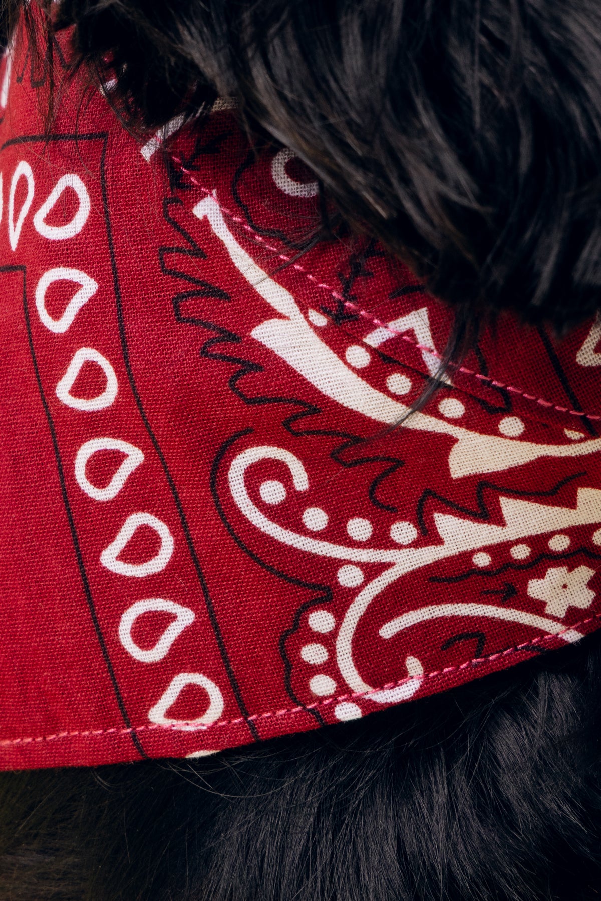 Bandana Idéfix bordeaux