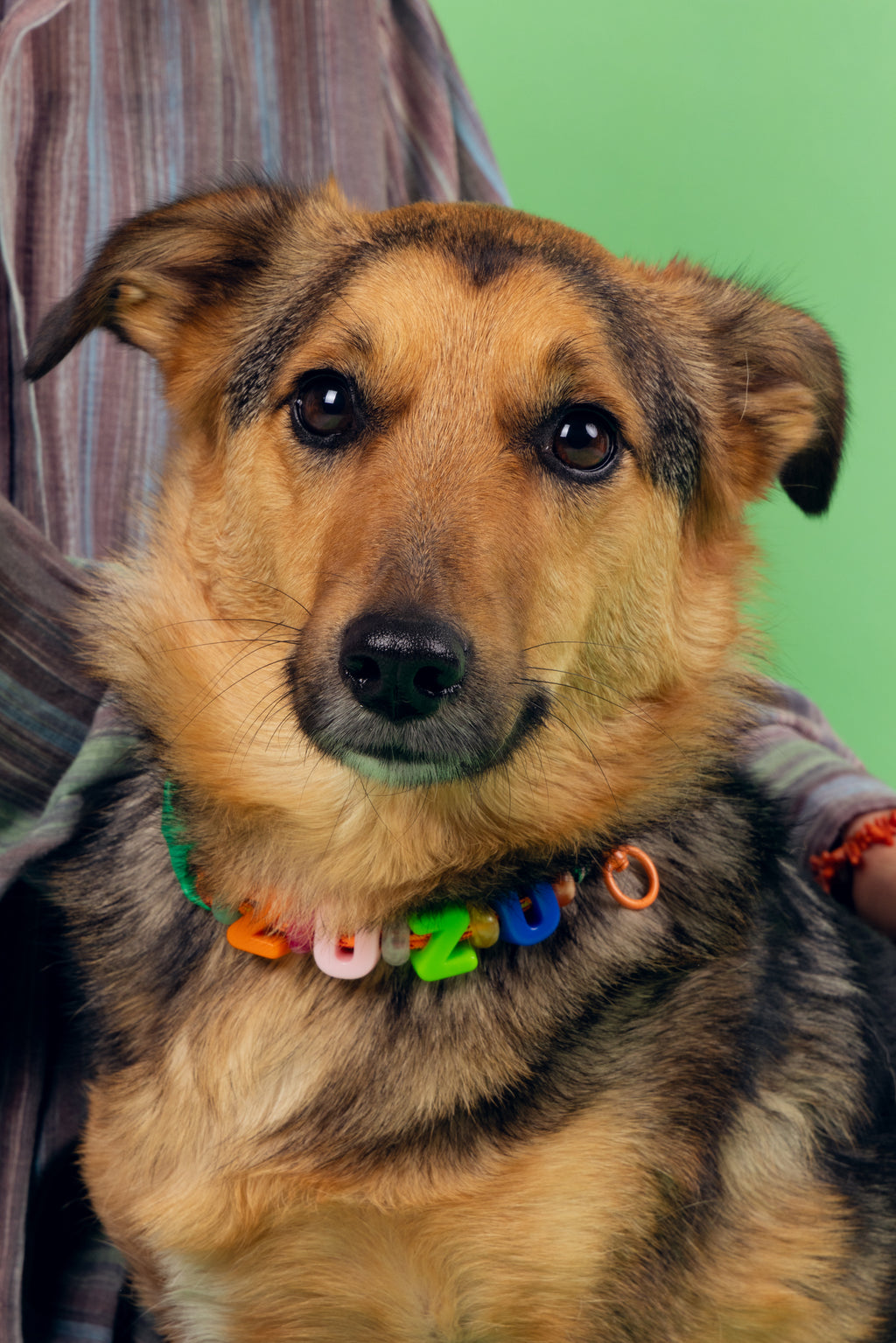Collier personnalisé Laïka