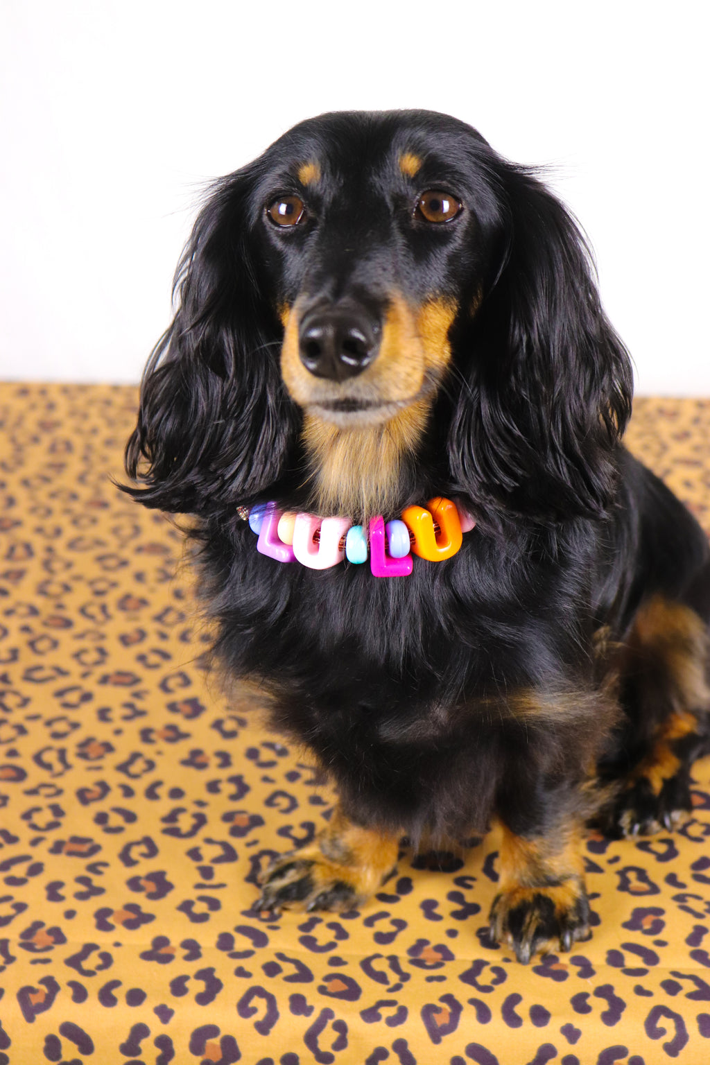 Collier personnalisé Laïka