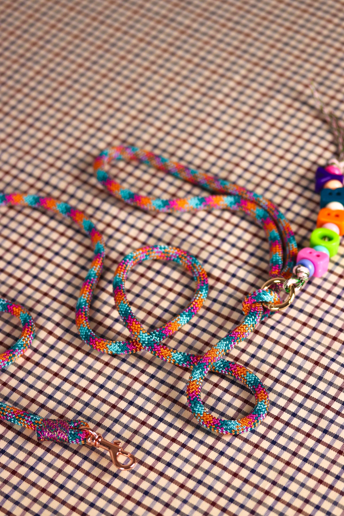 Laisse main libre Médor multicolore