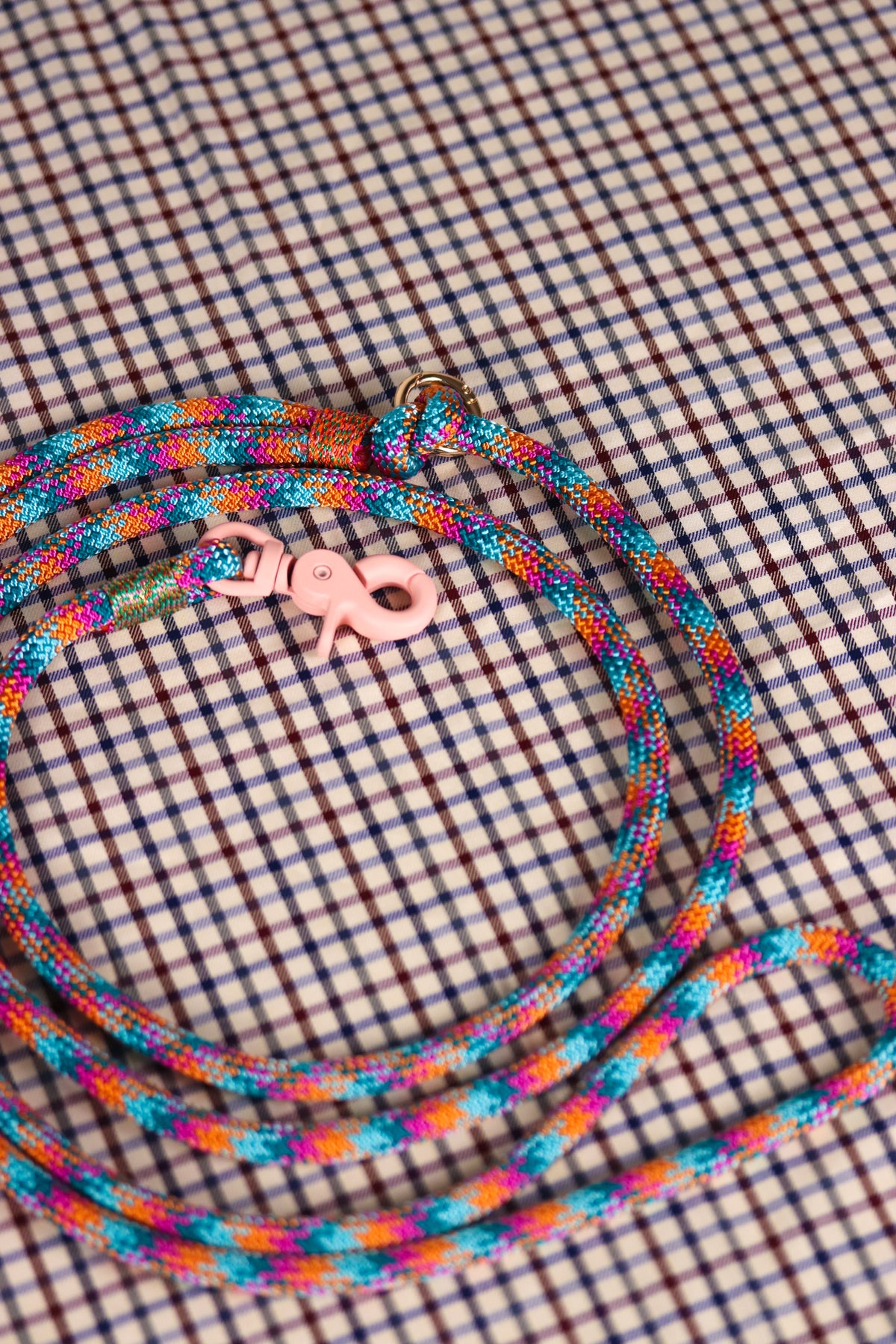 Laisse main libre Médor multicolore