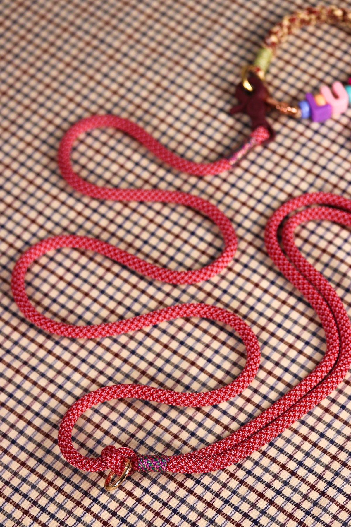 Laisse main libre Médor rose et rouge
