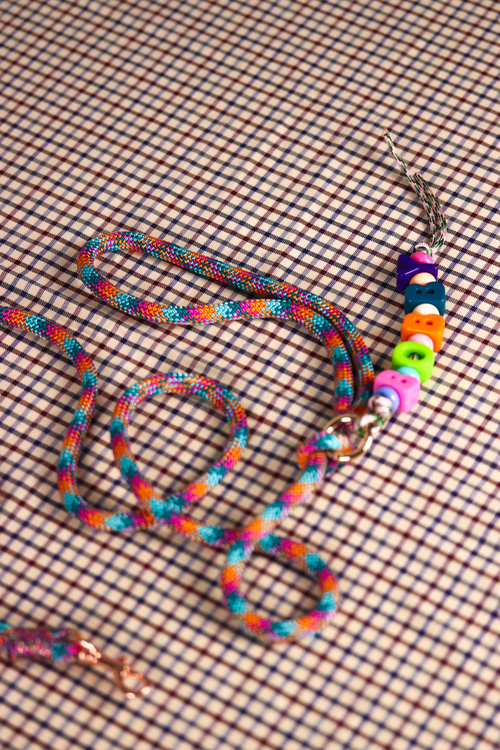 Laisse Lassie multicolore